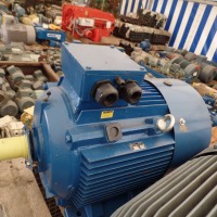 Elektric motor FOLLY HU 225 S4